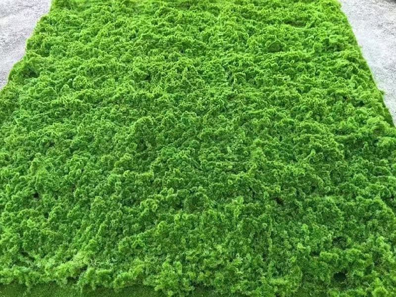 Artificial Grass