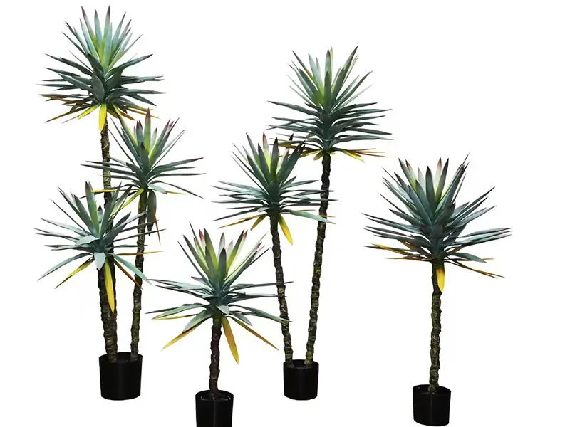 Artificial Yucca Trees