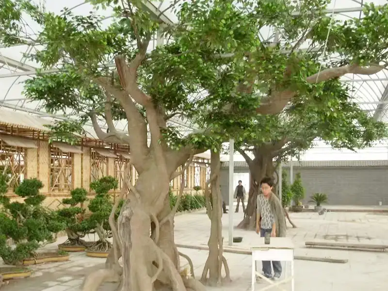Artificial Banyan Tree prop
