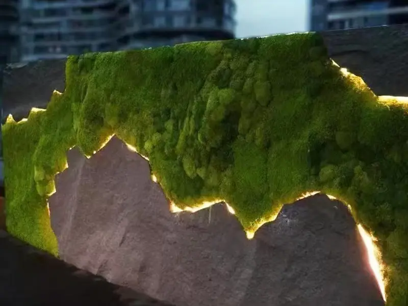 moss plant wal