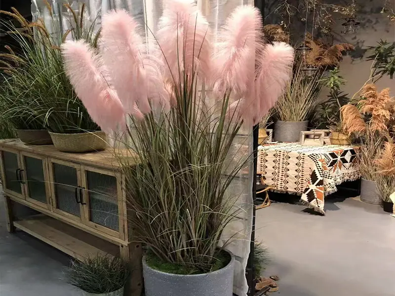 Artificial Pink Pampas Grass Plan